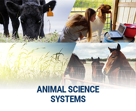 Animal Science Systems