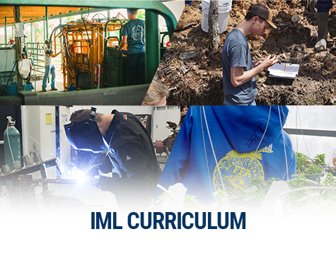 Click Here for IML Curriculum