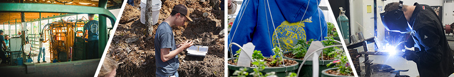 IML Curriculum Header Image