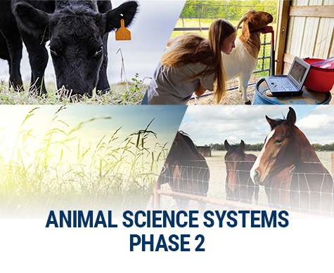 Animal Science Systems - Phase 2